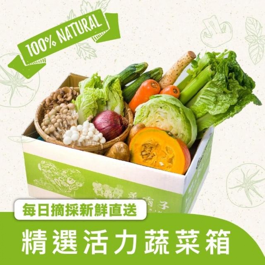蔬菜箱(健康蔬菜組合箱-組合隨機 